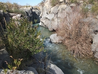 cantara piccole gole19022012 116
